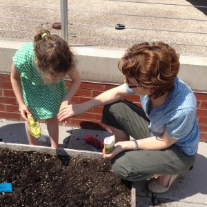 A Photo Gallery of Six Library Gardens
