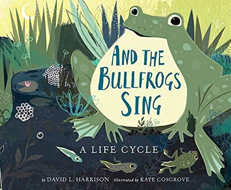 And the Bullfrogs Sing: A Life Cycle Begins