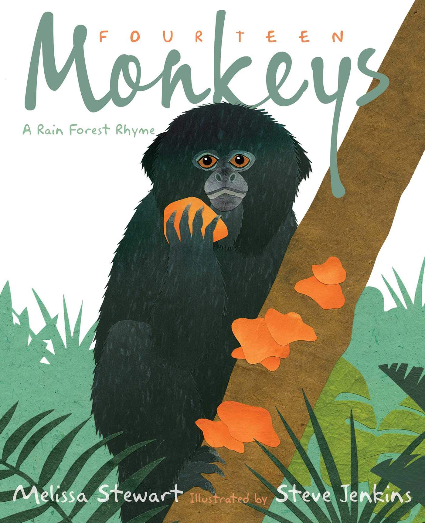 Fourteen Monkeys: A Rain Forest Rhyme