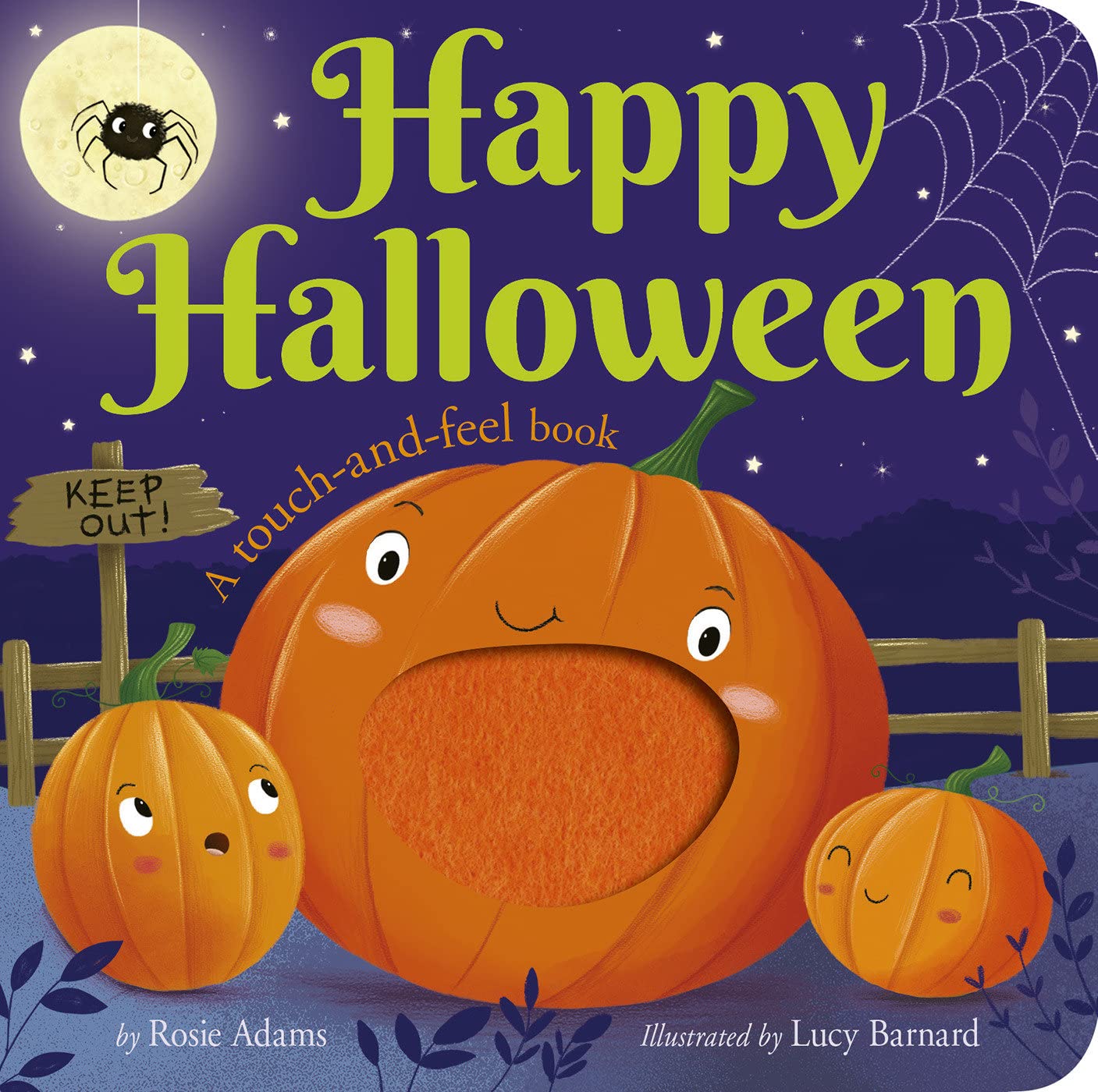 Happy Halloween: A touch-and-feel book