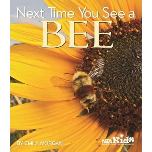 Next Time You See a Bee