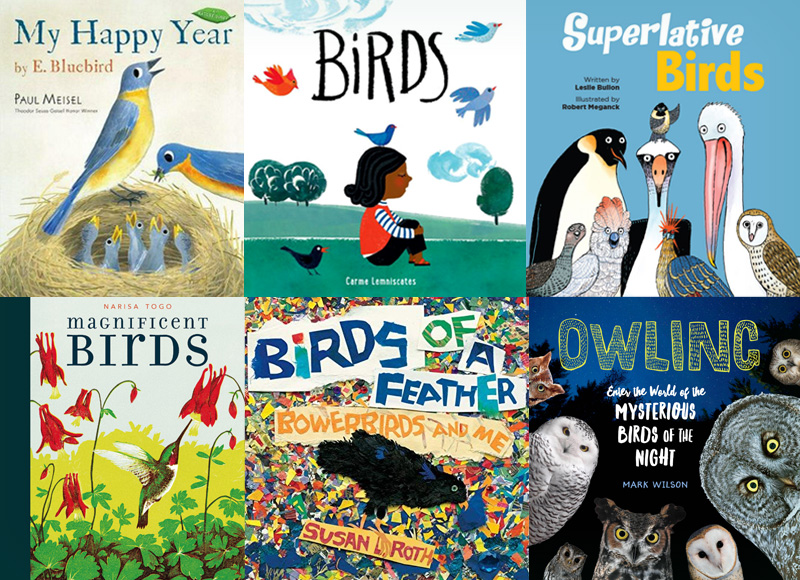 Birds of a Feather | New Books for Young Readers
