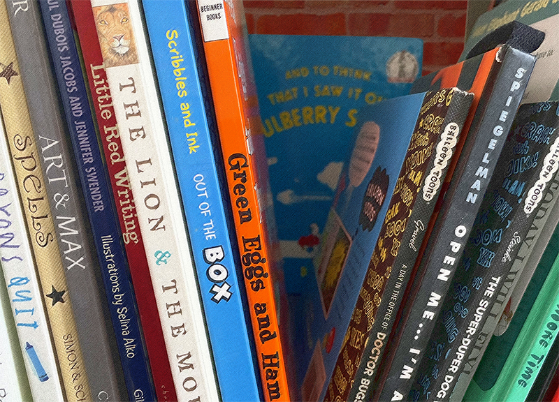 Book stack with a discontinued Dr Seuss book at the back