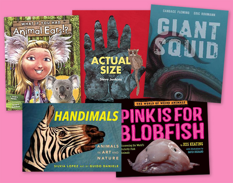 5 Tips for Starting a Nonfiction Book Club for Kids