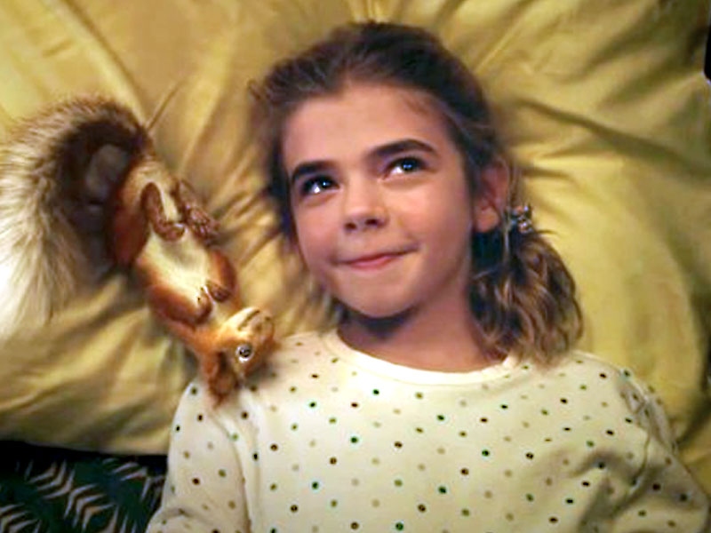 Four Middle Grade Novels for Fans of 