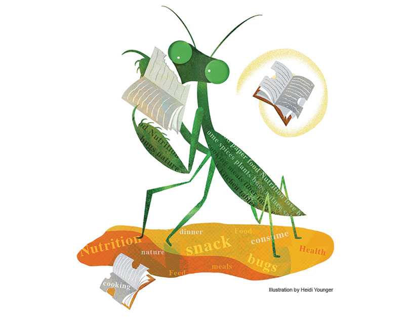 A Community of Readers: Finding our paths through literacy | Editorial Series Nonfiction