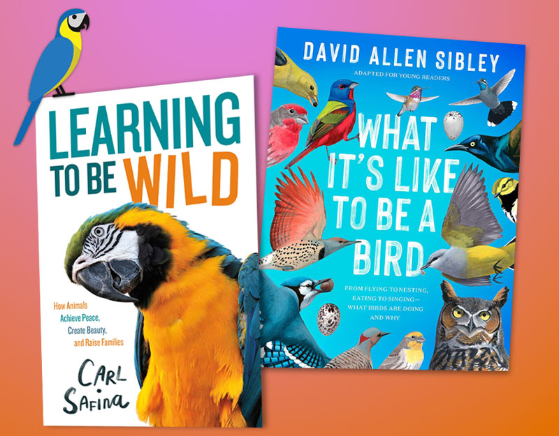 2 Books About the Robust Lives of Animals | Nonfiction Middle to High School Spotlight