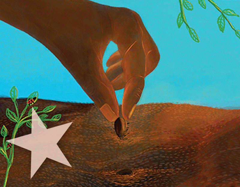 34 Standout Titles, Including New Ones by Joanna Ho & Cicely Lewis | Starred Reviews, December 2023