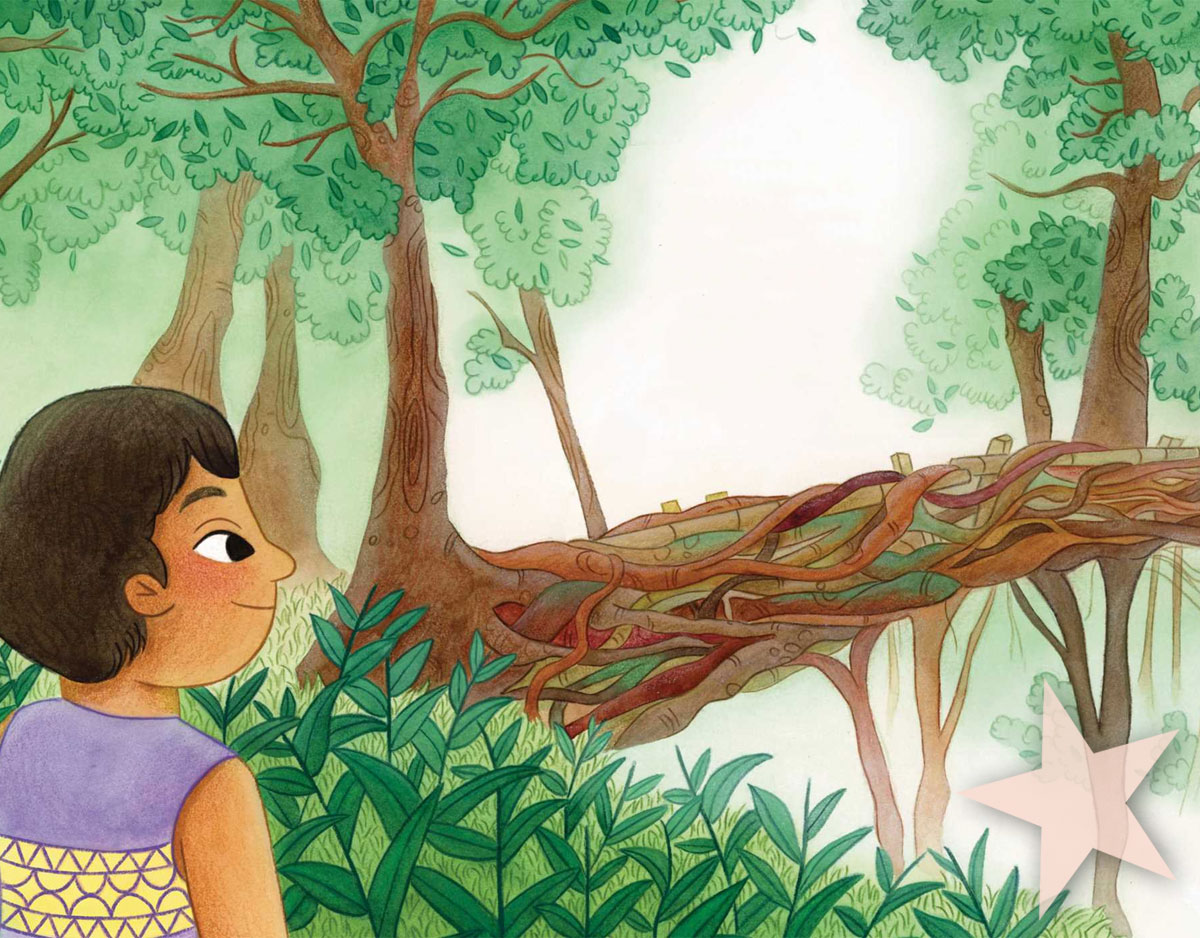 16 Remarkable Books by Jason Chin, George Takei, Niña Mata, and Others | Web Starred Reviews, June 2025