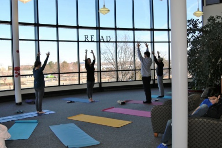 Launching a Library Health and Wellness Program