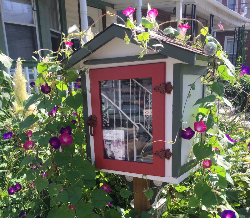 Little Free Libraries: Pet Projects or Literacy Tools?